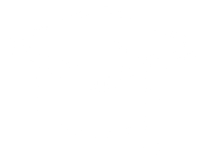 MFE NEU – Khoa Toán Đại học kinh tế quốc dân