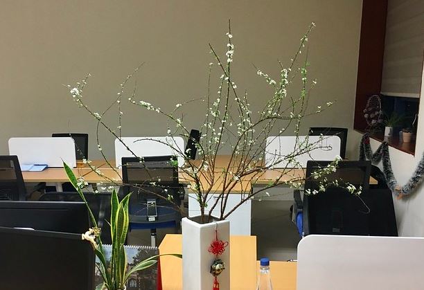 MFE NEU – Khoa Toán Đại học kinh tế quốc dân